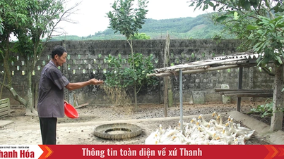Tiên phong trên mặt trận mới