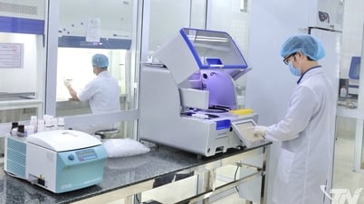 Thực hiện 237 vụ giám định pháp y