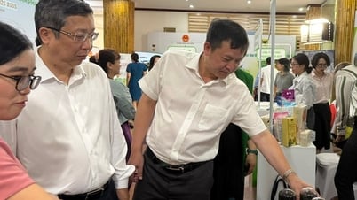 Giảm phát thải ít nhất 10% trong lĩnh vực trồng trọt đến năm 2035
