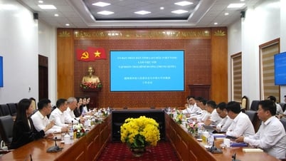 Chủ tịch UBND tỉnh Lê Văn Lương làm việc với Đoàn công tác Tập đoàn Xây dựng Thái Bình Dương (Trung Quốc)