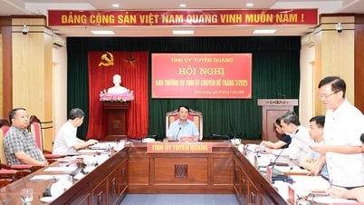 Ban Thường vụ Tỉnh ủy cho ý kiến vào báo cáo, chương trình duyệt Văn kiện Đại hội Đảng bộ phường Hà Giang 2 và Đảng bộ phường Minh Xuân, nhiệm kỳ 2025-2030