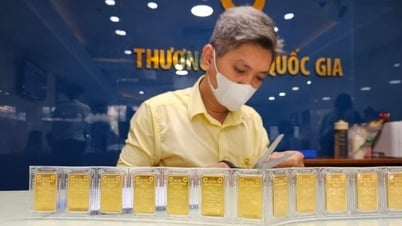 Giá vàng SJC và vàng nhẫn tăng trở lại theo xu hướng thế giới