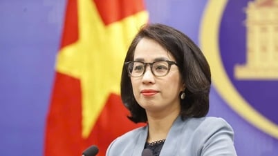 Việt Nam tin tưởng Campuchia và Thái Lan sẽ thực hiện nghiêm túc thỏa thuận ngừng bắn