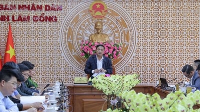 Cần tư duy mới trong thực hiện nhiệm vụ quản lý bảo vệ rừng
