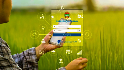 Quản lý hội viên nông dân qua phần mềm