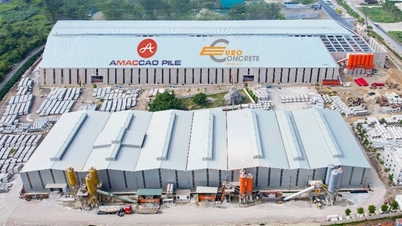 Nhà máy cọc hàng đầu Đông Nam Á của AMACCAO chuẩn bị vận hành