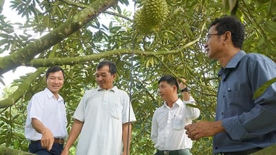 Phú Hựu: Phát huy lợi thế địa phương trong tái cơ cấu nông nghiệp và chuyển đổi số