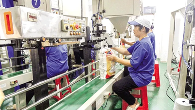 Lắng nghe để cùng doanh nghiệp đồng hành phát triển