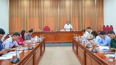 Họp Tổ giúp việc Ban Chỉ đạo của tỉnh về phát triển khoa học, công nghệ, đổi mới sáng tạo và chuyển đổi số