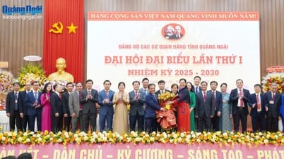 Tập trung xây dựng Đảng bộ trong sạch, vững mạnh toàn diện