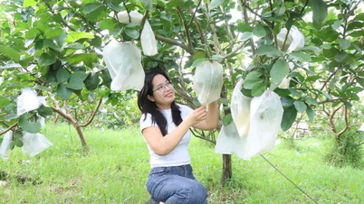 Cô gái bắt 'đất nghèo nở hoa', tạo việc làm cho nhiều người dân địa phương