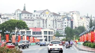 Lâm Đồng: Tất cả 124 xã, phường, đặc khu hoàn thành...