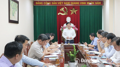 Phấn đấu phê duyệt điều chỉnh quy hoạch chung đô thị Biên Hòa và Nhơn Trạch trước 15-9