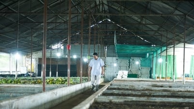 Một kỹ sư Lâm Đồng bỏ lương 30 triệu/tháng về làm nông nghiệp