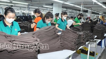 Công ty Cổ phần may và dịch vụ xuất nhập khẩu Hưng Long I: Tạo việc làm cho gần 1.200 công nhân, lao động