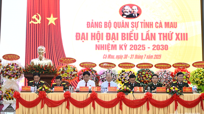 Cà Mau: Đột phá ba trụ cột, nâng tầm thế trận quốc phòng toàn dân