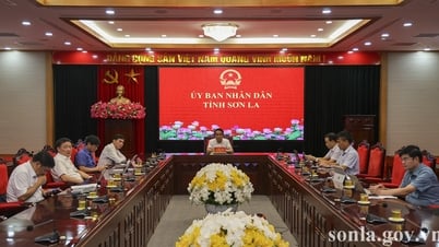 Phiên họp thứ 19 của Ban Chỉ đạo Nhà nước các công trình, dự án quan trọng quốc gia, trọng điểm ngành giao thông vận tải