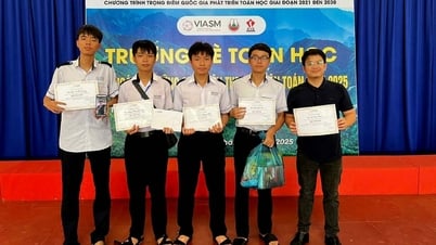 Đội Toán Trường THPT chuyên Lương Văn Chánh đạt thành tích cao nhất tại Trường hè Toán học 2025