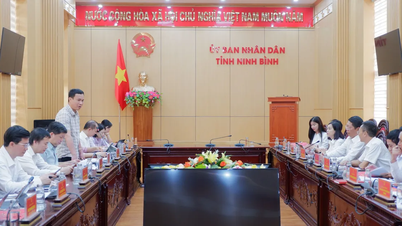 Làm rõ thẩm quyền địa phương trong xử lý vi phạm của cơ quan báo chí Trung ương