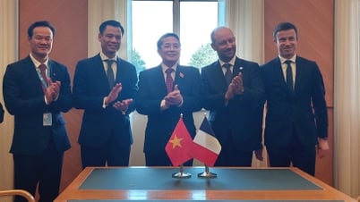 Việt Nam và Pháp nâng cao hiệu quả hoạt động lập pháp, giám sát với các thỏa thuận hợp tác