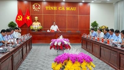 Từ 15/8: Cà Mau giải quyết hồ sơ thủ tục 'không phụ thuộc địa giới hành chính'