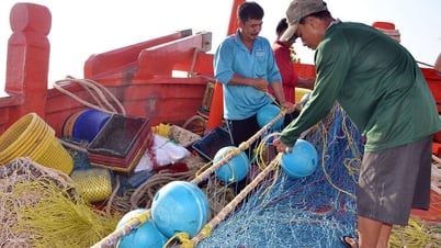 Tái cơ cấu nghề biển