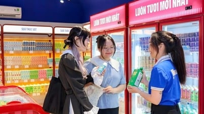 Vinamilk ghi nhận doanh thu quý II cao nhất từ trước đến nay