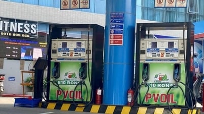 Thí điểm bán xăng sinh học E10 tại Hà Nội từ ngày 1-8