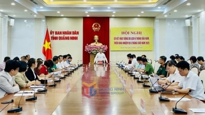 UBND tỉnh họp triển khai các giải pháp thúc đẩy du lịch những tháng cuối năm