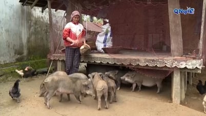 ការពិនិត្យឡើងវិញតាមកាលកំណត់នៃគ្រួសារក្រីក្រ និងជិតក្រីក្រនៅឆ្នាំ 2025