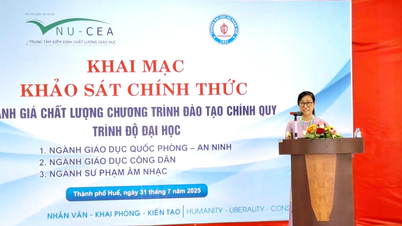 Đánh giá ngoài 3 chương trình đào tạo đại học tại Trường Đại học Sư phạm, ĐH Huế