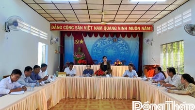 Hội Nông dân tỉnh Đồng Tháp làm việc với xã Vĩnh Hựu sau sắp xếp tổ chức