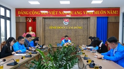 Tỉnh Đoàn Lâm Đồng triển khai công tác Đoàn trong giai đoạn mới