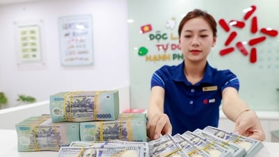 Lãi suất ngân hàng hôm nay 30/7/2025: Nhà băng 'lội ngược dòng' tăng lãi suất