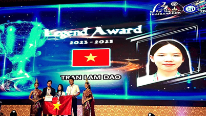 Học sinh Việt Nam xuất sắc giành 36 huy chương, giải thưởng tại Kỳ thi Toán Quốc tế WMI