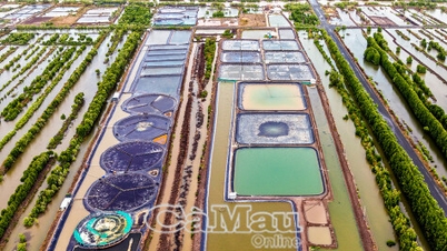 Tạo đột phá cho tăng trưởng năm 2025