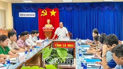 Ổn định sau hợp nhất, nâng cao chất lượng giáo dục