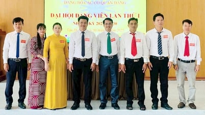 Party Congress of Party Agencies of Tan Thanh Commune, term 2025-2030