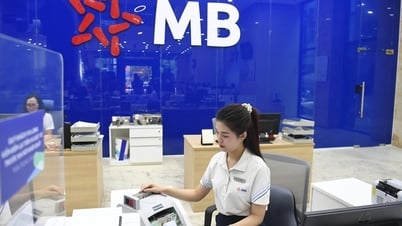 Báo lãi ngàn tỉ, lợi nhuận ngân hàng đến từ đâu trong tăng trưởng tín dụng?