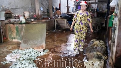Thu phí bảo vệ môi trường đối với nước thải, khí thải trên địa bàn tỉnh Khánh Hòa