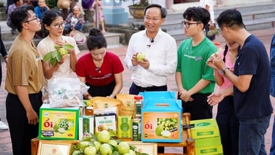 Phó Chủ tịch UBND tỉnh Phạm Văn Thịnh lần thứ hai livestream bán nông sản địa phương