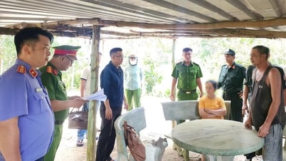 Bắt thêm 2 đối tượng trong vụ lừa bán đất Sân bay quốc tế Phú Quốc