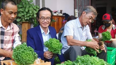“Tập kết” nông sản biển - rừng - “chìa khóa” nâng cao giá trị nông sản Lâm Đồng. Bài 1: Chuyển đổi để hội tụ vươn mình