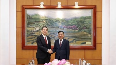 Thường trực Ban Bí thư Trần Cẩm Tú tiếp Đoàn đại biểu Đảng Cộng sản Nhật Bản