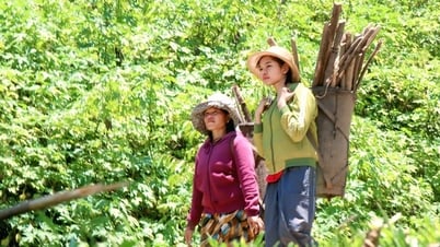 Những bà mẹ thầm lặng "nuôi" con chữ giữa đại ngàn