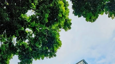 BIDV duy trì hoạt động ổn định, an toàn, tăng tốc chuyển đổi...