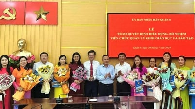 Chủ tịch UBND cấp xã bổ nhiệm hiệu trưởng, hiệu phó mầm non, tiểu học, THCS
