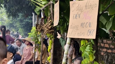 Độc đáo phiên chợ '1 nghìn đồng' cho trẻ em trải nghiệm chợ quê thời ông bà