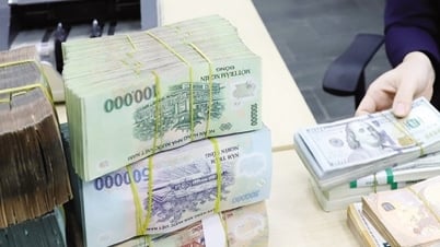Credit allocation in the right place will not be afraid of risk