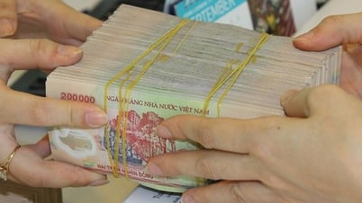 Dự thảo Luật Bảo hiểm tiền gửi (sửa đổi)